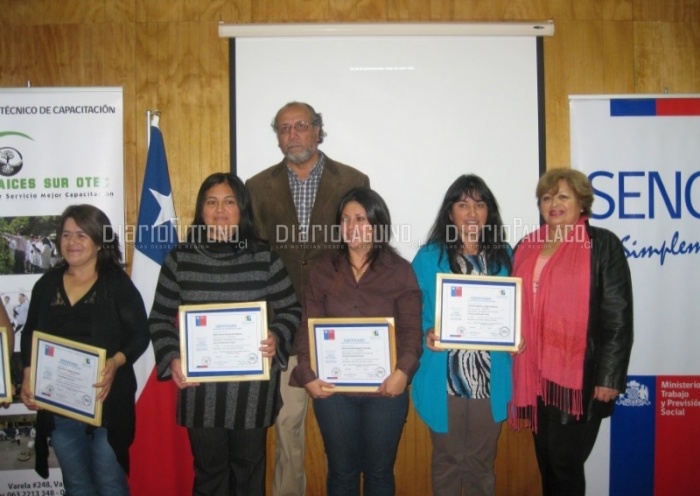 Paillaco cuenta con 15 mujeres expertas en instalaciones sanitarias