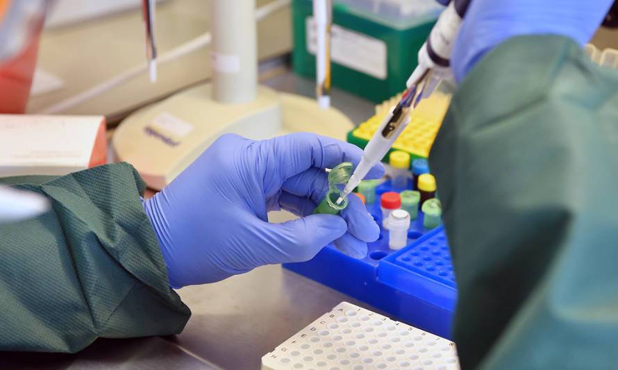 Los Ríos: resultados de tests PCR podrán ser revisados en línea