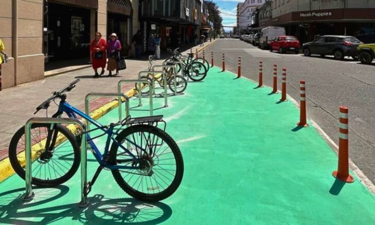 Calles verdes en Valdivia: ¿problema o solución?