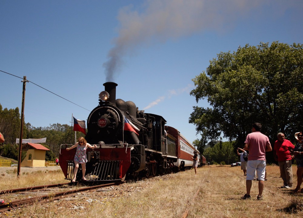 ​​Tren Turístico “El Valdiviano” realizará este domingo último viaje de la temporada