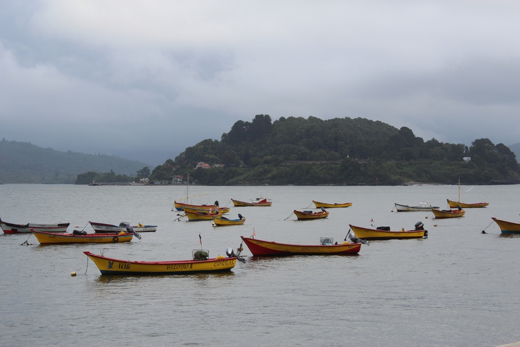 Cámara Baja aprobó proyecto que mejora habitabilidad de embarcaciones pesqueras artesanales   
