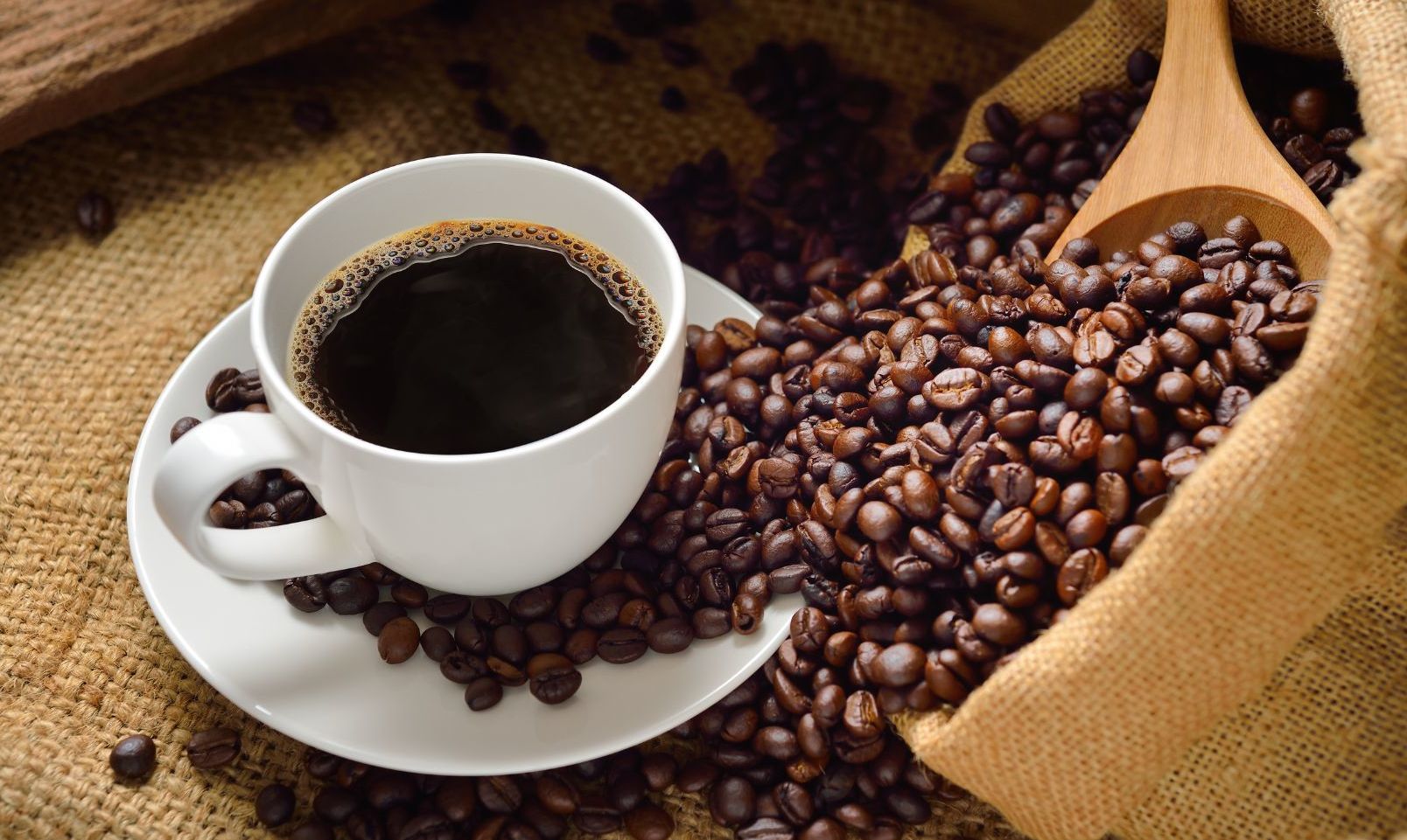 "El café: producto beneficioso, en su justa medida"