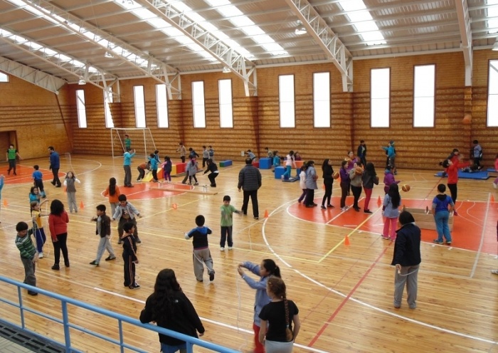 Escuelas Nueva Aurora de Pichirropulli y Roberto Ojeda Torres de Reumén celebraron el Día Mundial de la Actividad Física
