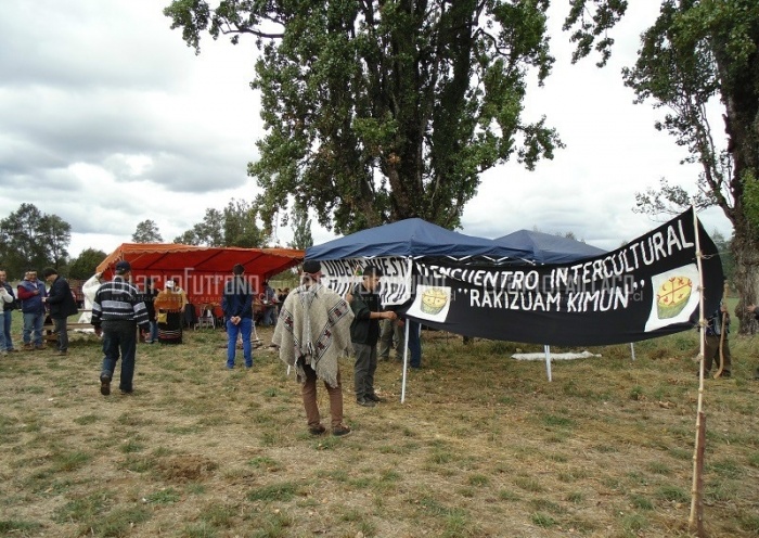 Proceso de reivindicación de tierras de comunidad Millapán Naguil se consolida con Trawún Mapuche Mapu Kimün