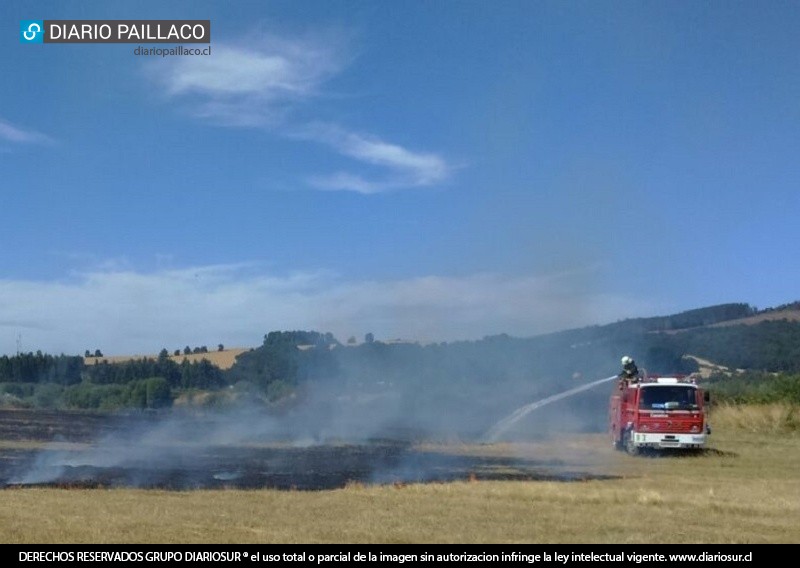El día más caluroso del año, Bomberos de Paillaco atendió 10 incendios de pastizales y el principio de incendio de un camión