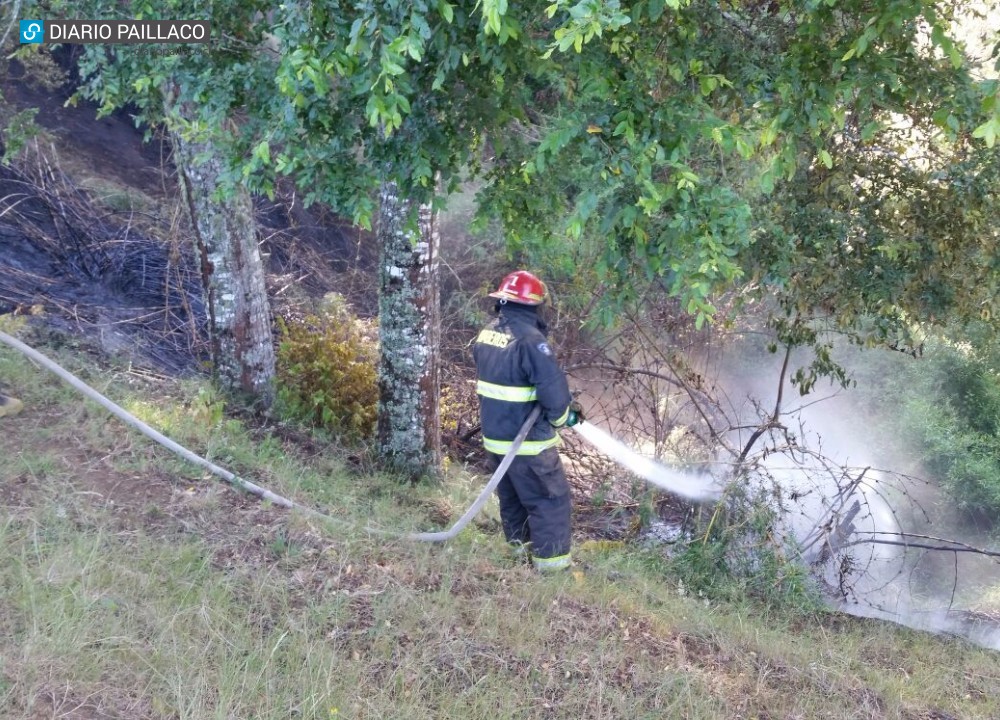  Bomberos de Paillaco trabajan en incendio de bosque nativo en fundo Ruca Quelén