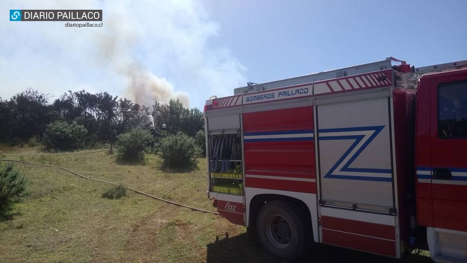 Bomberos y el incendio en La Plata: “Se evitó un desastre de miles de hectáreas” 