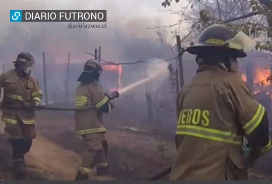 Futroninos en el infierno: relato y video de la arriesgada labor bomberil en la zona de catástrofe