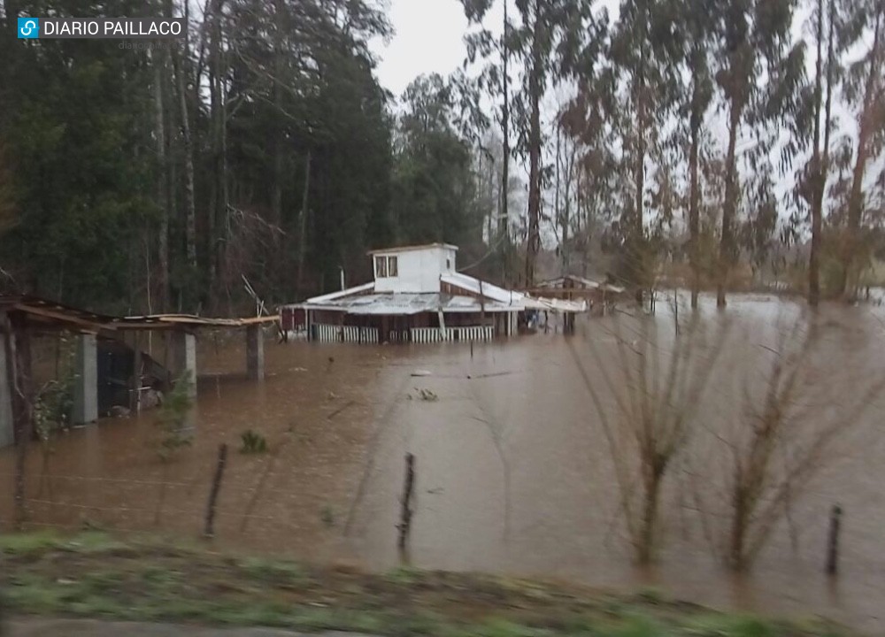 Registran inundaciones en Paillaco, Futrono y otras comunas tras intensas precipitaciones