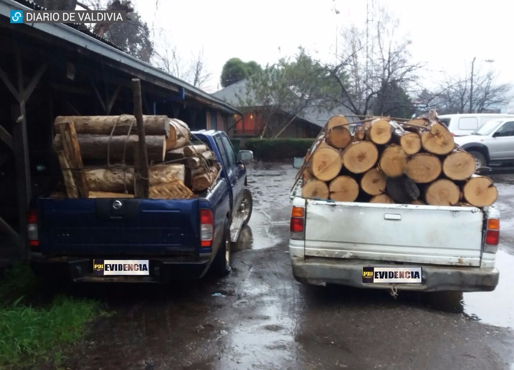 PDI detiene a ocho personas por hurto de madera en salida sur de Valdivia