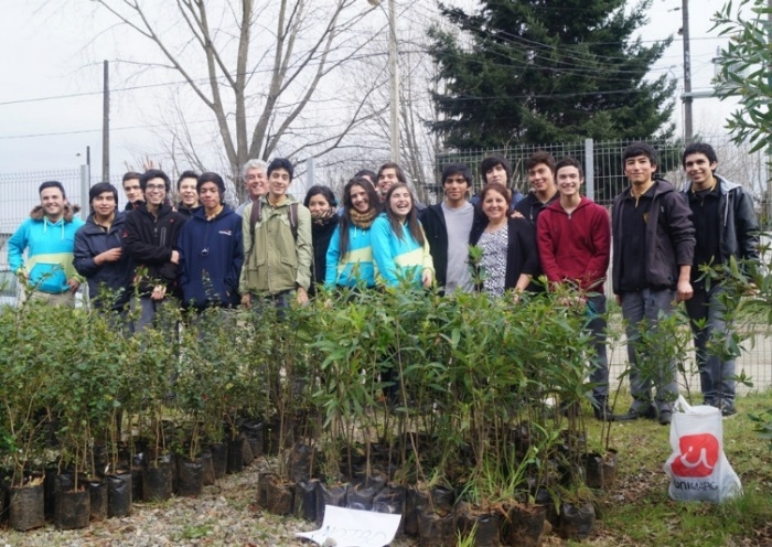 Estudiantes del Liceo Rodulfo Amando Philippi entregaron 1000 árboles nativos a la comunidad