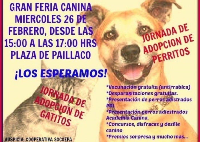 Presentaciones educativas, vacunas y concursos ofrecerá la Primera Feria Canina de Paillaco