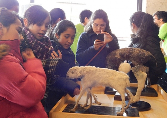 Estudiantes de la Escuela Proyecto de Futuro descubrieron curiosidades del mundo animal