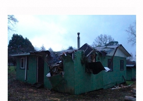 Milagrosa escapada de familia: árbol cayó sobre su casa