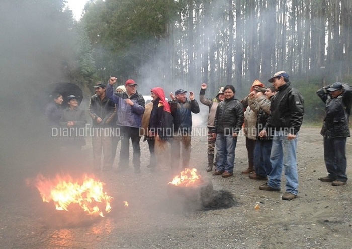 Vecinos bloquearon cruce Tres Chiflones: exigen reparación del camino por parte de Forestal Arauco