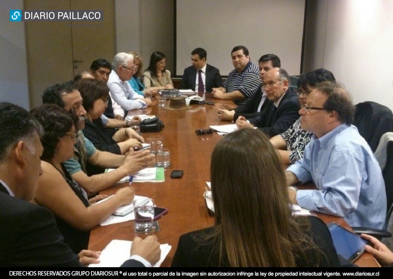 Dirigentes sociales de Los Ríos solicitaron que el Estado responda por alza en las cuentas de luz