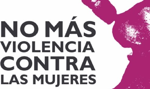 Sernameg Los Ríos presentó querella por caso de mujer agredida en Río Bueno