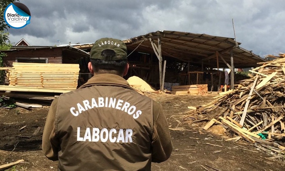 Sujetos realizan robo en barraca de madera en la ciudad de Valdivia