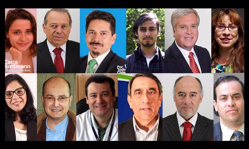 Los Ríos anota cifra record de candidatos para elección parlamentaria