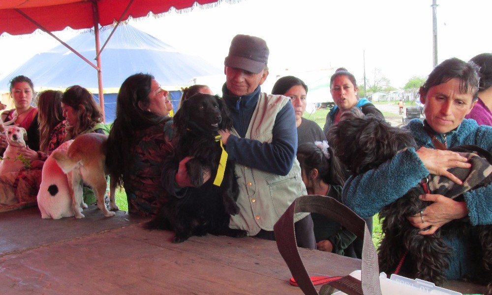 ¡ATENCIÓN!: Este viernes se realizará Feria Canina en el Barrio Norte 