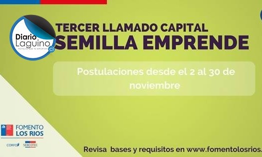 ¡Atención emprendedores de los Ríos! Invitan a postular al Capital Semilla Emprende