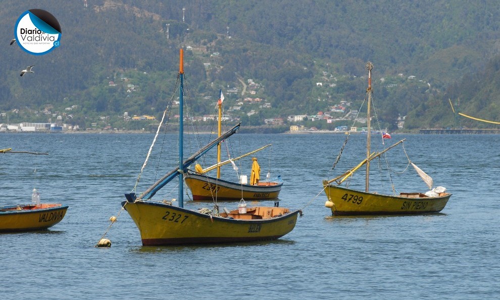 Gobierno aprueba proyectos para pescadores artesanales por 1.600 millones de pesos