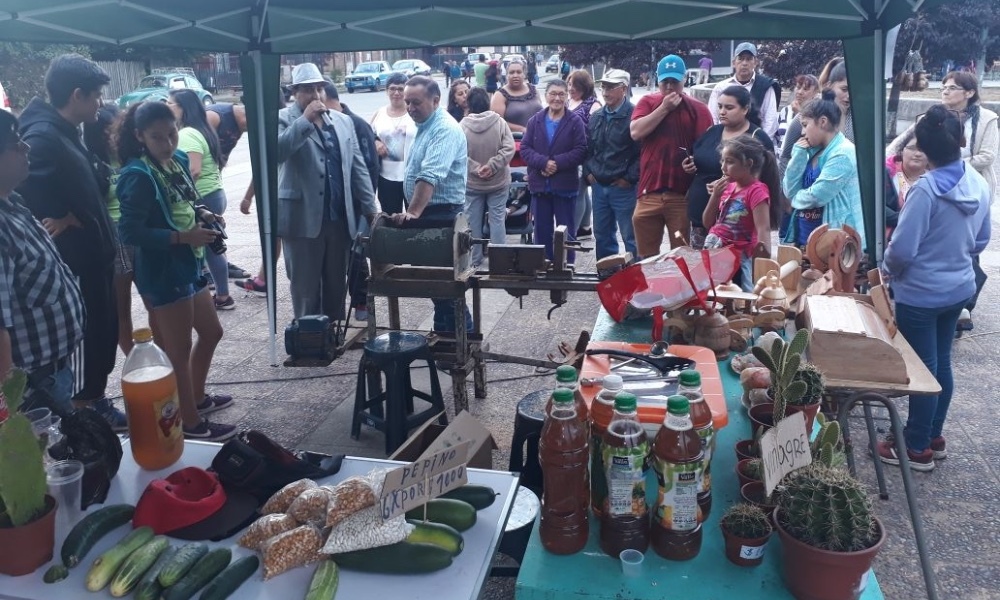 Reumén puso en valor sus tradiciones con el Festival de la Chicha y de las Artes Tradicionales