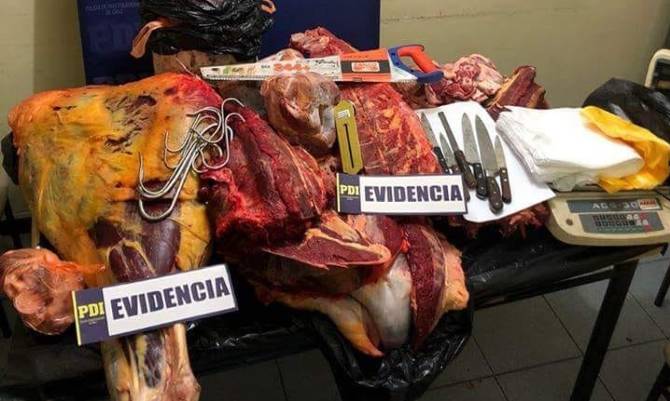PDI descubrió matadero clandestino en Río Bueno