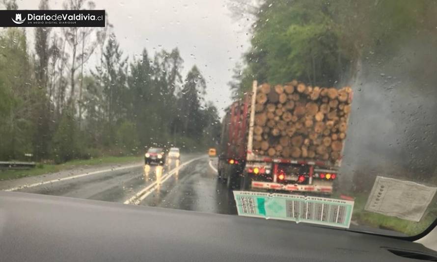 Camión cargado de madera en problemas: Precaución sector La Paloma
