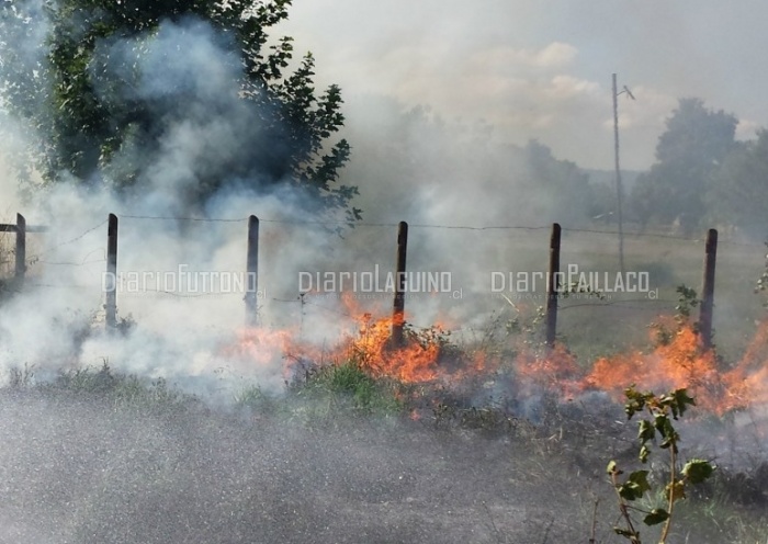Incendio de pastizales en población Enrique Lüer