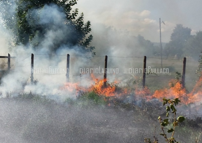 Incendio de pastizales camino a Pichiquema