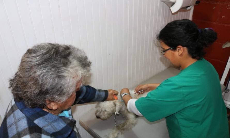 Paillaquinos han inscrito más de mil mascotas en el Registro Nacional de Tenencia Responsable