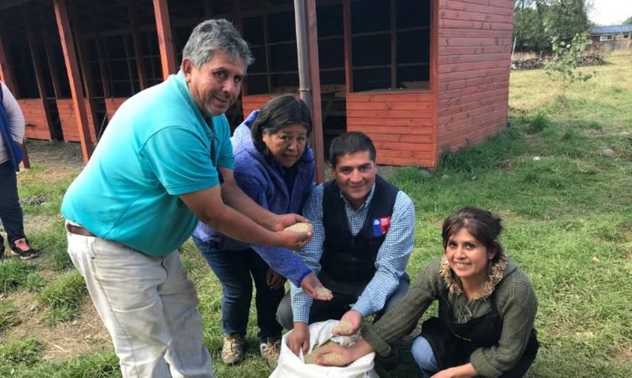 Agricultores de La Unión, Río Bueno y Panguipulli viajan a VII Congreso Mundial de la Quinua