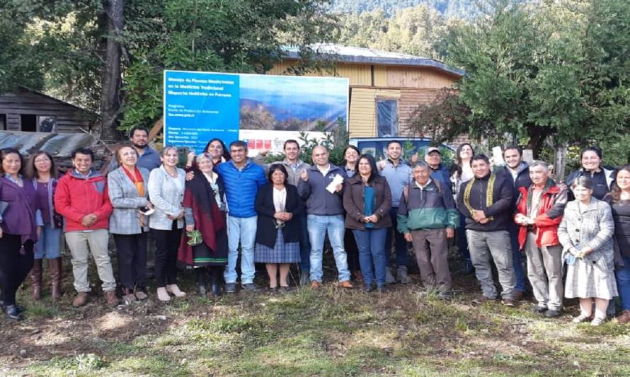 Comunidad Mapuche de Caunahue se adjudica fondos de medioambiente para el rescate de la medicina ancestral