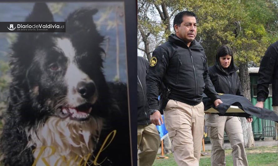 PDI despidió con tristeza a emblemático integrante de la brigada canina