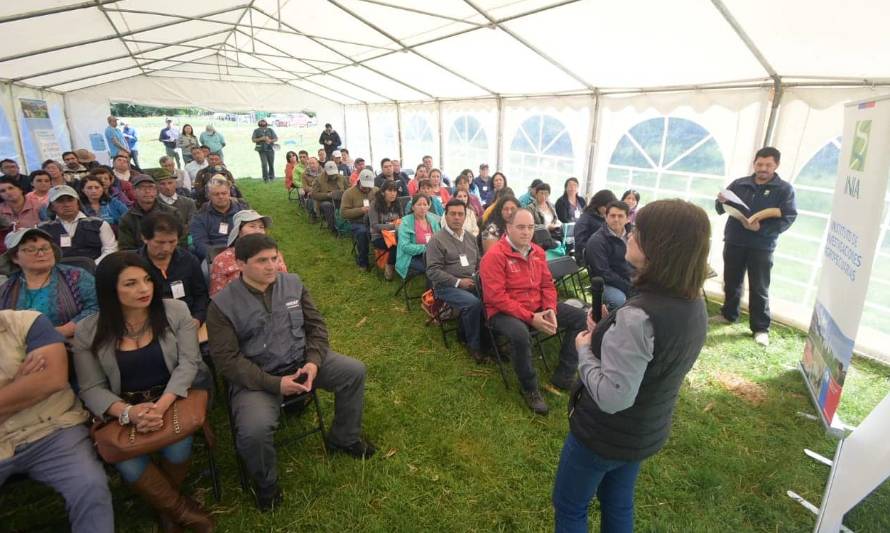 Más de 200 agricultores de Los Ríos aprendieron conocimientos técnicos  en Día de Campo Ovino