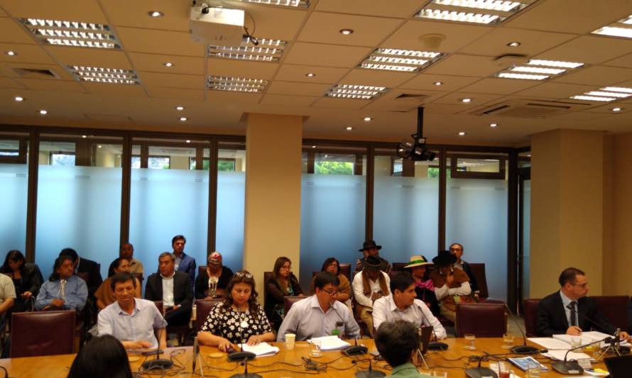 Ramona Reyes y alcaldes mapuche presentaron propuesta de escaños reservados para pueblos originarios