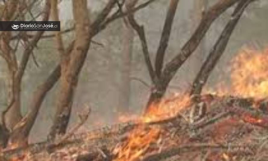 Se mantiene alerta amarilla en San José por incendio forestal