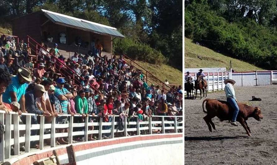 Lago Ranco realizó 1er. campeonato de domadura de toros, potrillos y potrancas salvajes