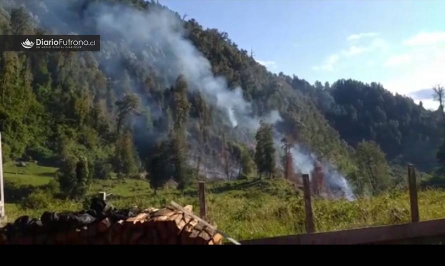 Incendio forestal en sector rural de Futrono