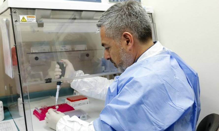 Confirman 11 nuevos casos de Coronavirus en Los Rios: Cifra regional sube a 58 contagios