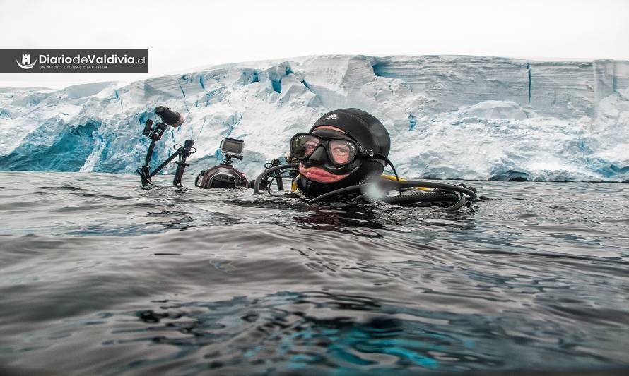 En mayo todos a conectarse con la “Antártica bajo cero”, el ciclo de charlas virtuales sobre ciencia polar
