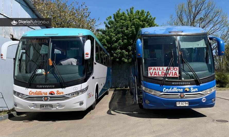 Buses Cordillera Sur anuncia retorno de sus recorridos