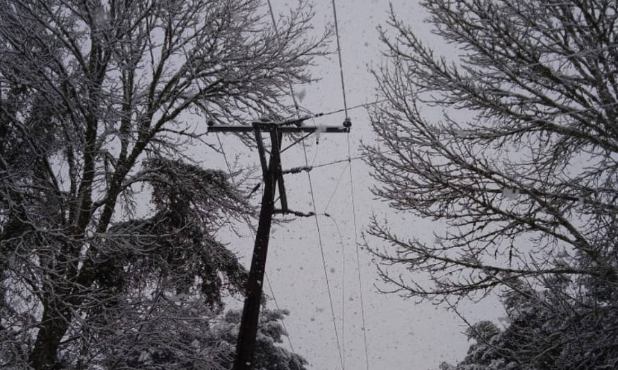Caída de ramas por nevazón provocó cortes de energía en Paillaco y Futrono