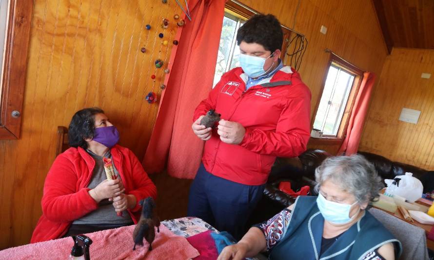 Cuidadoras de discapacitados de Mehuín aprenden tejido en fieltro gracias al Fondo de Fortalecimiento de Segegob