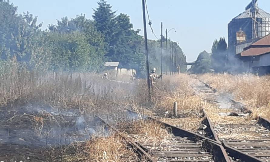 Ola de calor provocó incendios en pastizales en Paillaco