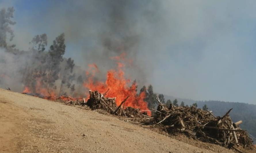 Conaf Los Ríos llama a agricultores a realizar sus quemas con precaución