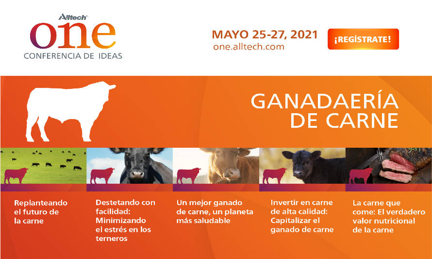 Replanteando el futuro de la carne, será uno de los temas de la Conferencia de Ideas de Alltech ONE