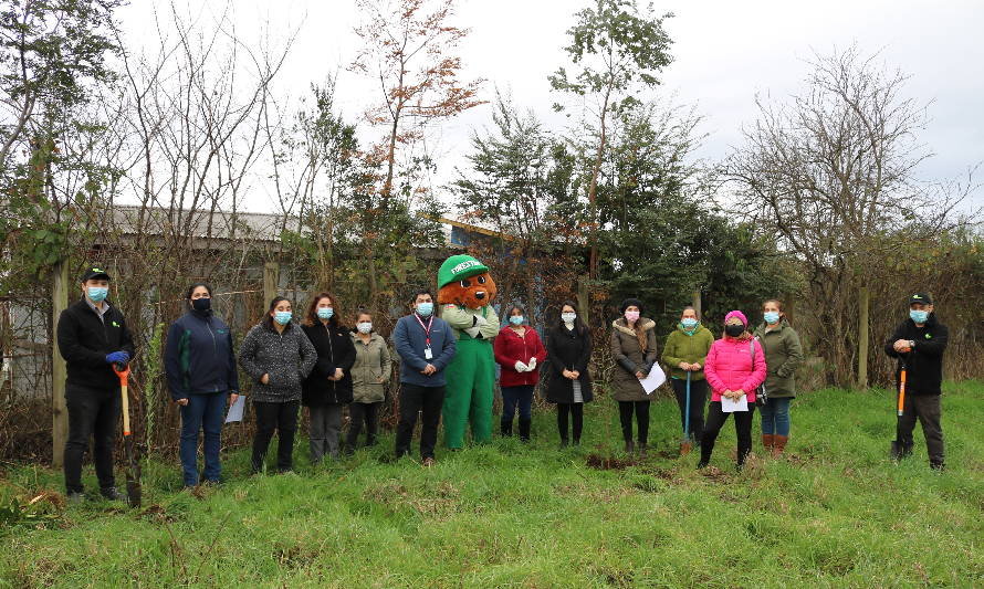 Escuela Nueva Aurora de Pichirropulli y Conaf ponen en marcha Proyecto de Arborización Comunitario único en la región 