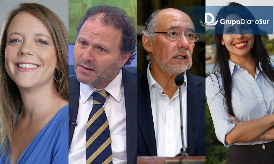 Senatoriales en Los Ríos: Servel ratificó 15 y rechazó 2 candidaturas